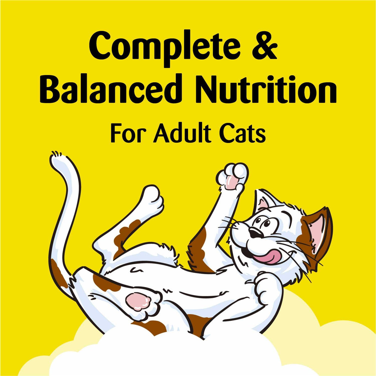 Cat Treats P755