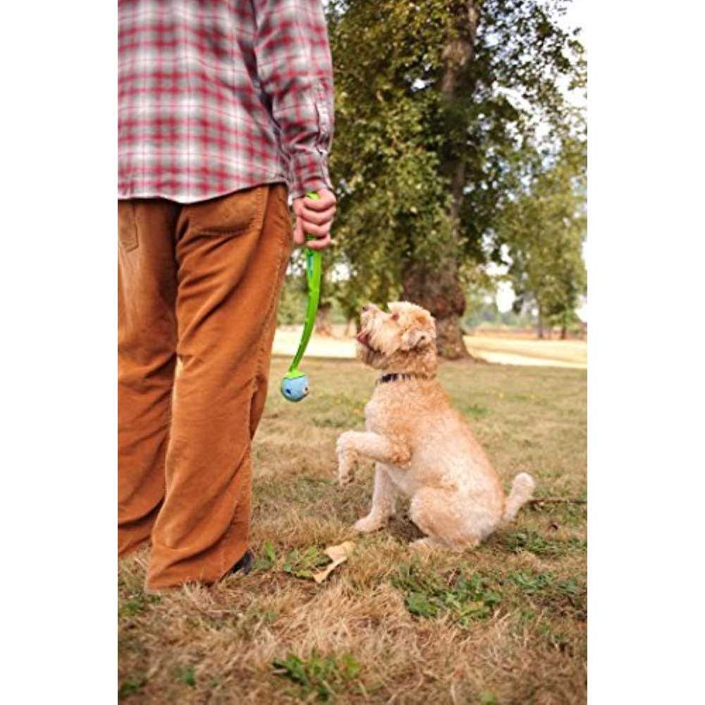 Fetch Medley Pet Supplies F1723