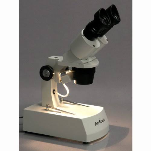 20X-40X Stereo Microscope with USB Camera I257854