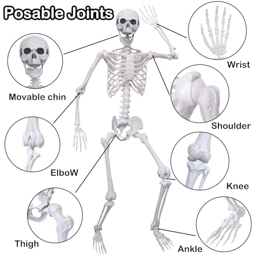 5.4Ft Posable Plastic Skeletons 2Pack H637