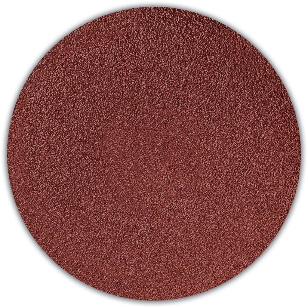 12 inch PSA Disc I98806