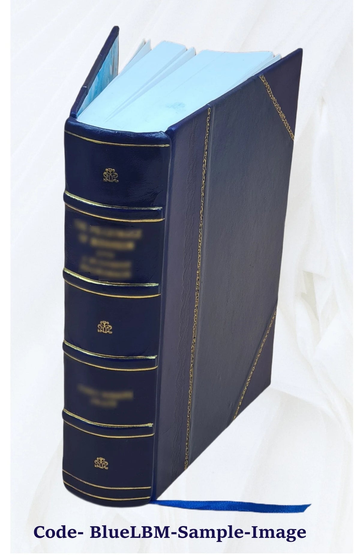 Ecclesiastical and other sketches of Southington, Conn. 1875 Leather Bound E670