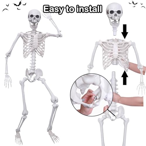 5.4Ft Posable Plastic Skeletons 2Pack H637