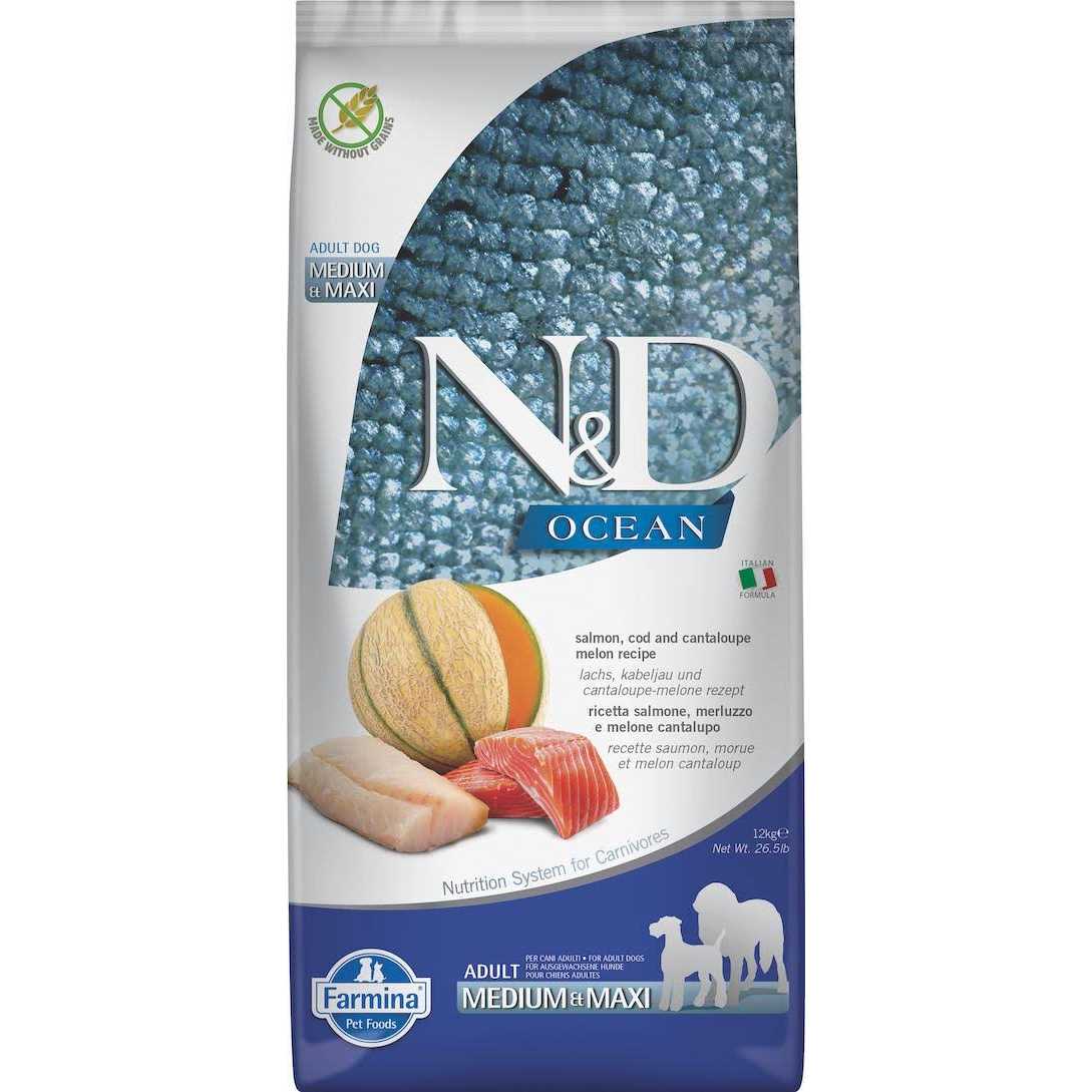 Chicken & Pomegranate Dry Dog Food I694