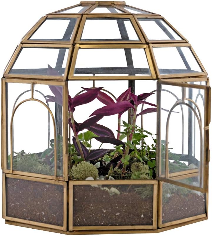 Large Glass Terrarium M240181