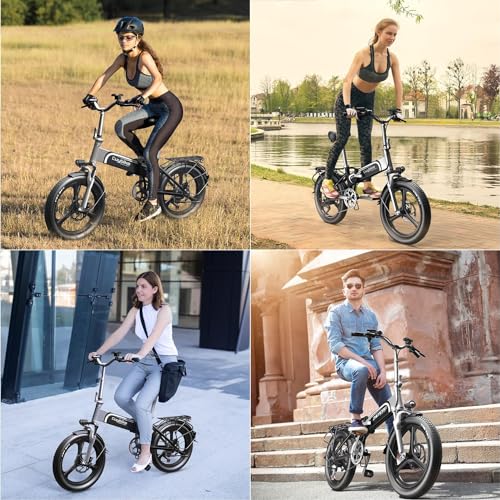 20" Fat Tire 750W 48V 12.8AH/15AH/20AH Battery 7-Speed Folding Electric Bike B4979