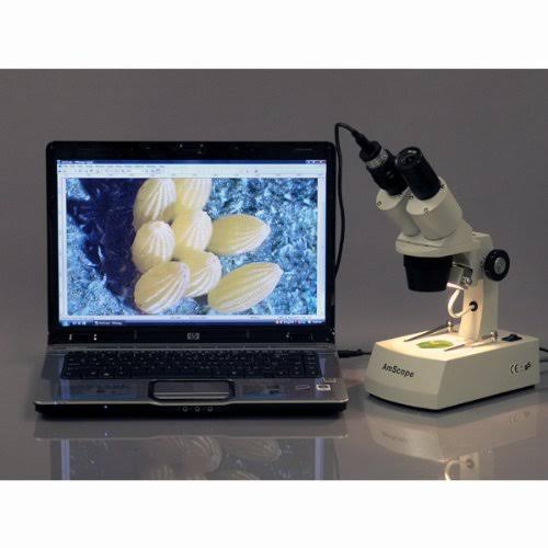20X-40X Stereo Microscope with USB Camera I257854