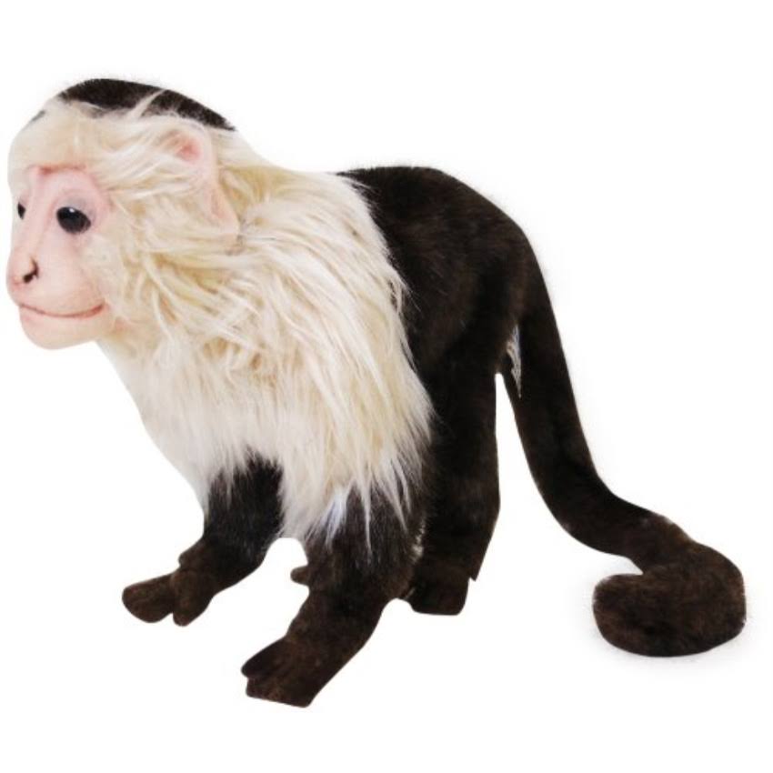 Capuchin Monkey Plush X816