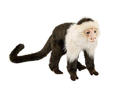 Capuchin Monkey Plush X816