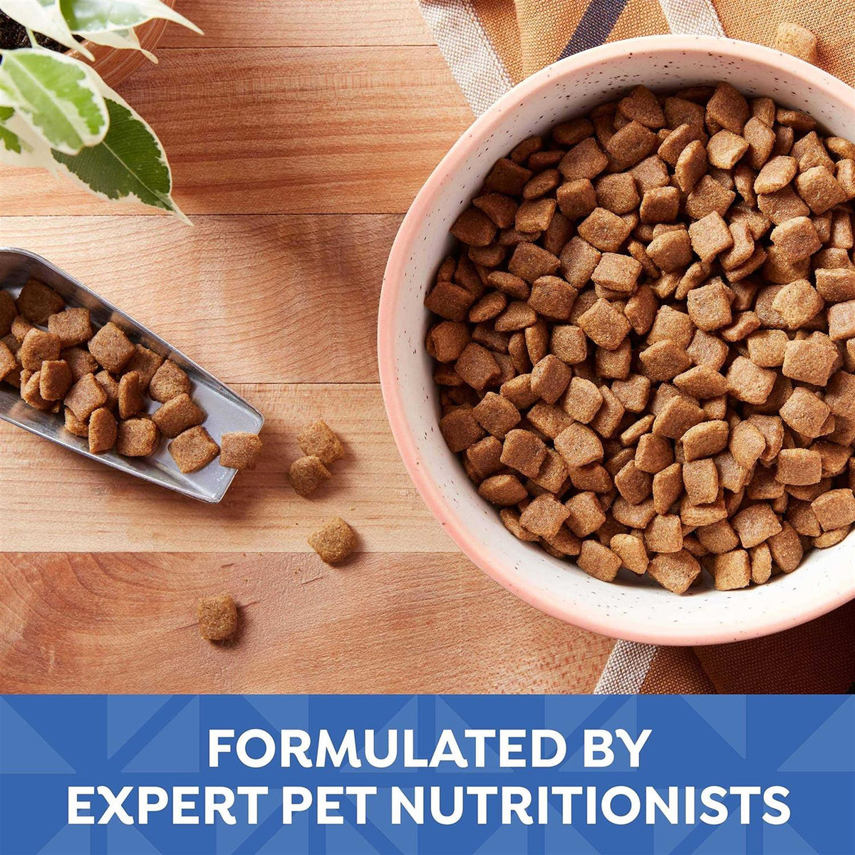 Small Bites Dry Dog Food B4568