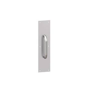 Satin Chrome Pulls and Push Plates G383