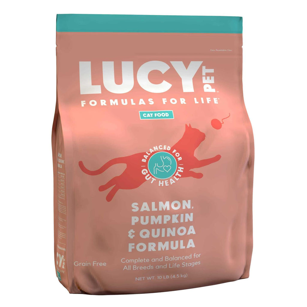 Dry Cat Food Salmon I1571