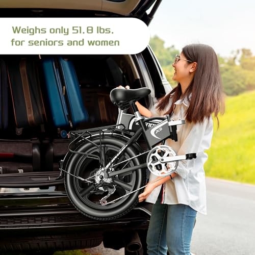 20" Fat Tire 750W 48V 12.8AH/15AH/20AH Battery 7-Speed Folding Electric Bike B4979
