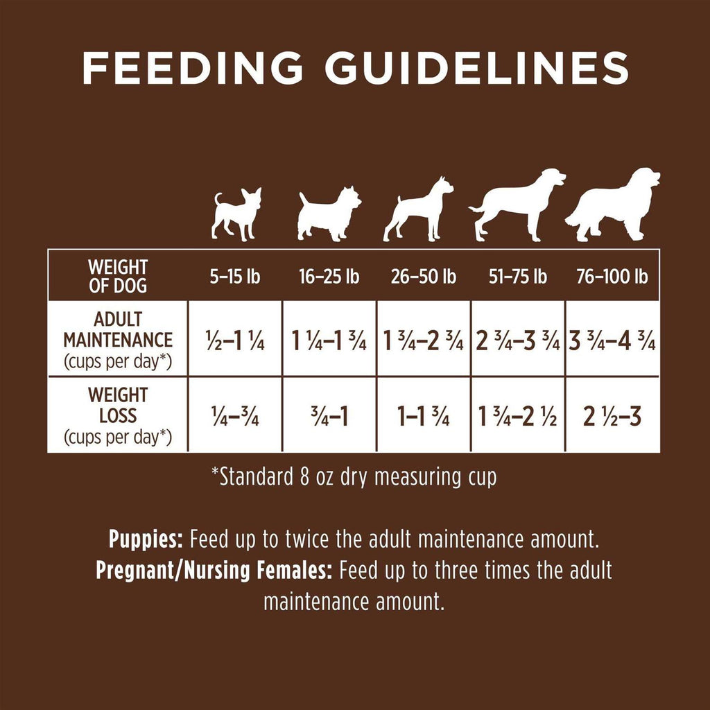 Chicken & Brown Rice Recipe Dry Dog Food D6900