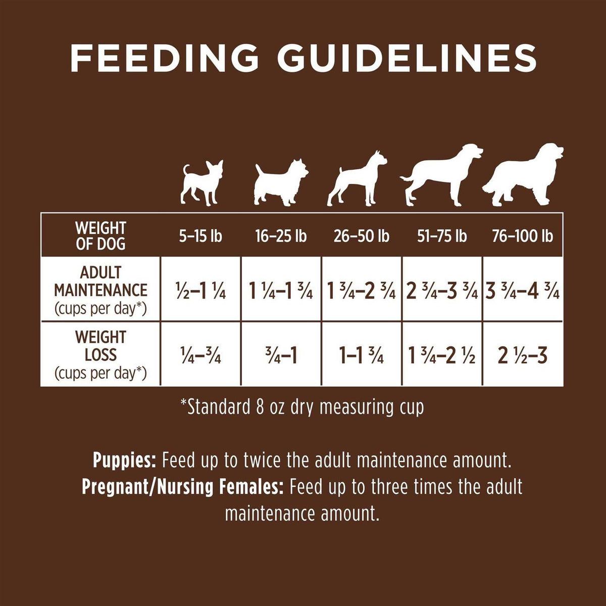 Chicken & Brown Rice Recipe Dry Dog Food D6900