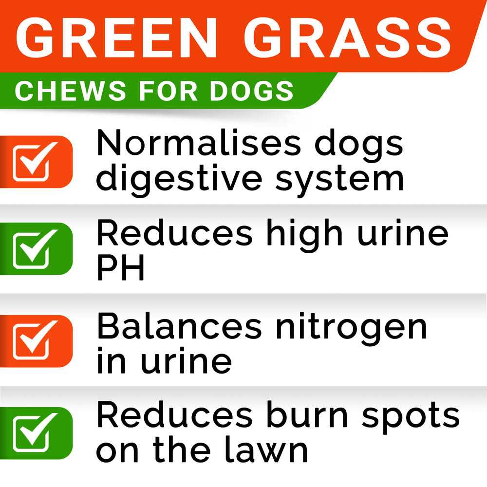 Grass Burn Spot Chews for Dogs A1417