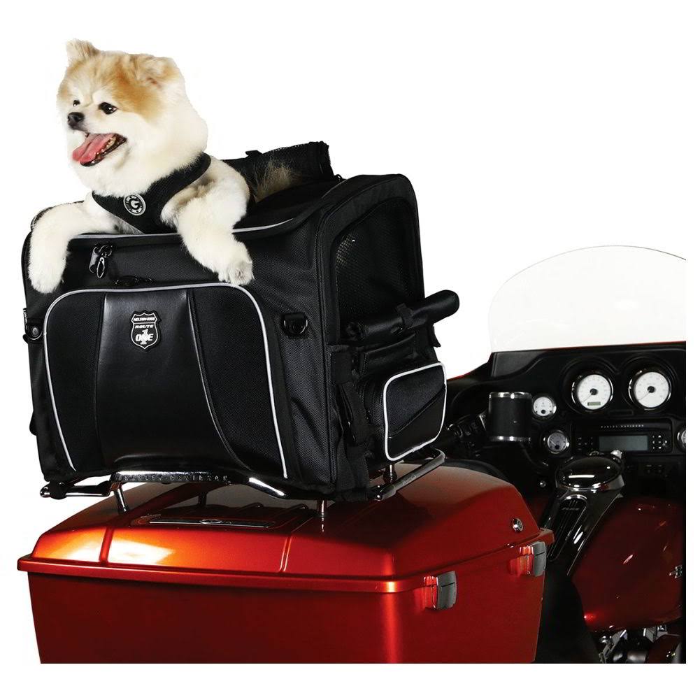 Pet Carrier C491480