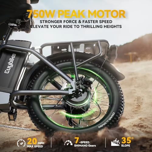 20" Fat Tire 750W 48V 12.8AH/15AH/20AH Battery 7-Speed Folding Electric Bike B4979