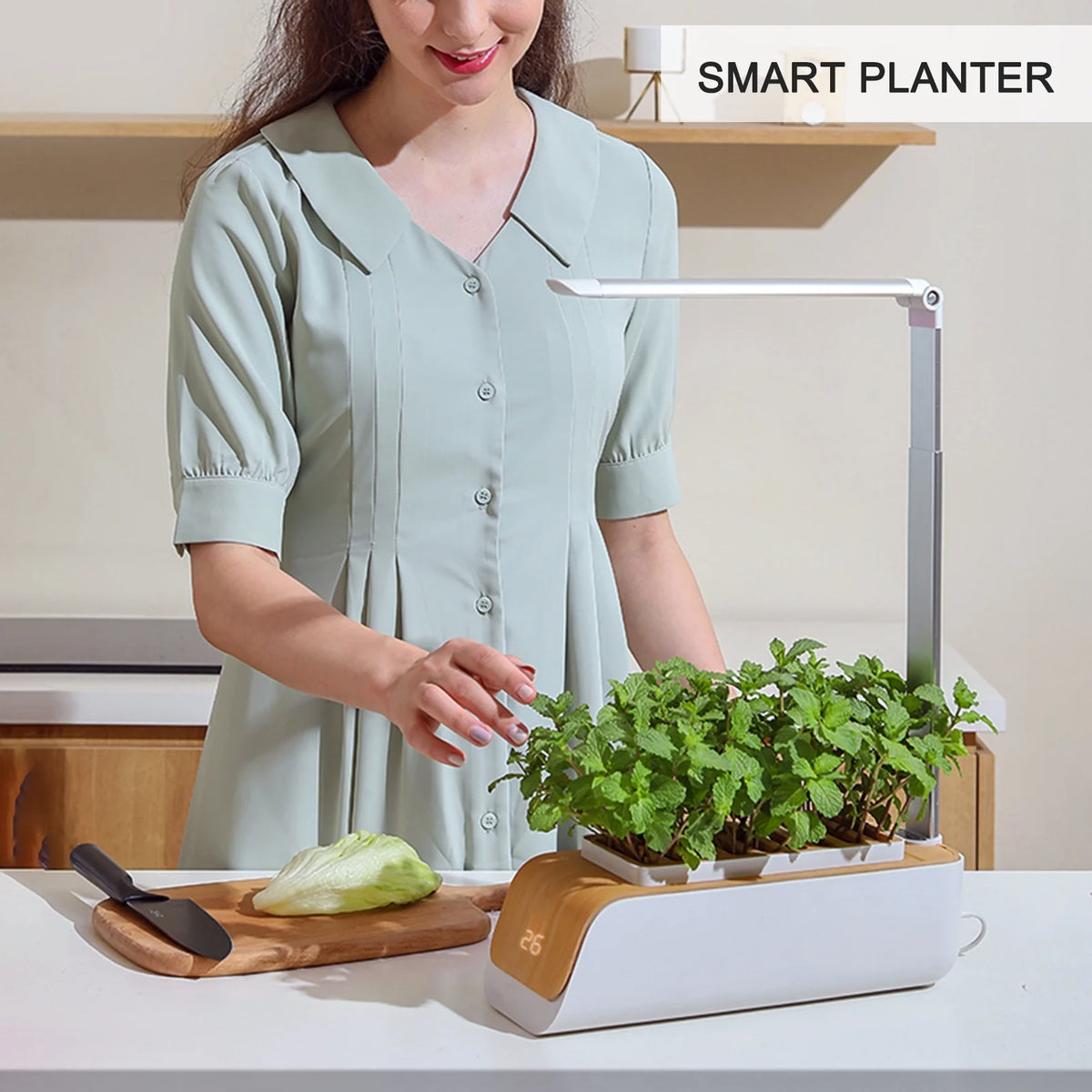 Indoor Herb Garden Kit with Grow Light S9424