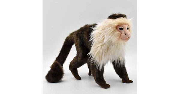 Capuchin Monkey Plush X816