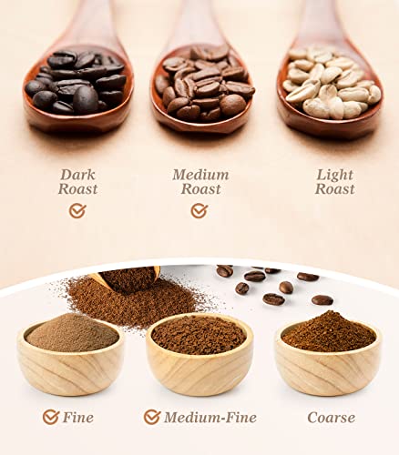 Stainless Steel Reusable Coffee Capsules, 2 Pods with 100 Lids and Spoon O7354