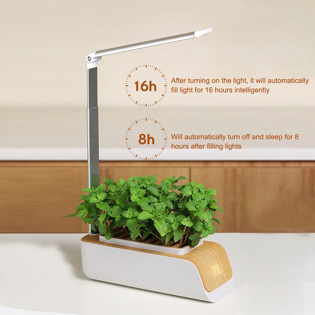 Indoor Herb Garden Kit with Grow Light S9424