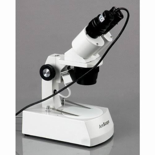 20X-40X Stereo Microscope with USB Camera I257854