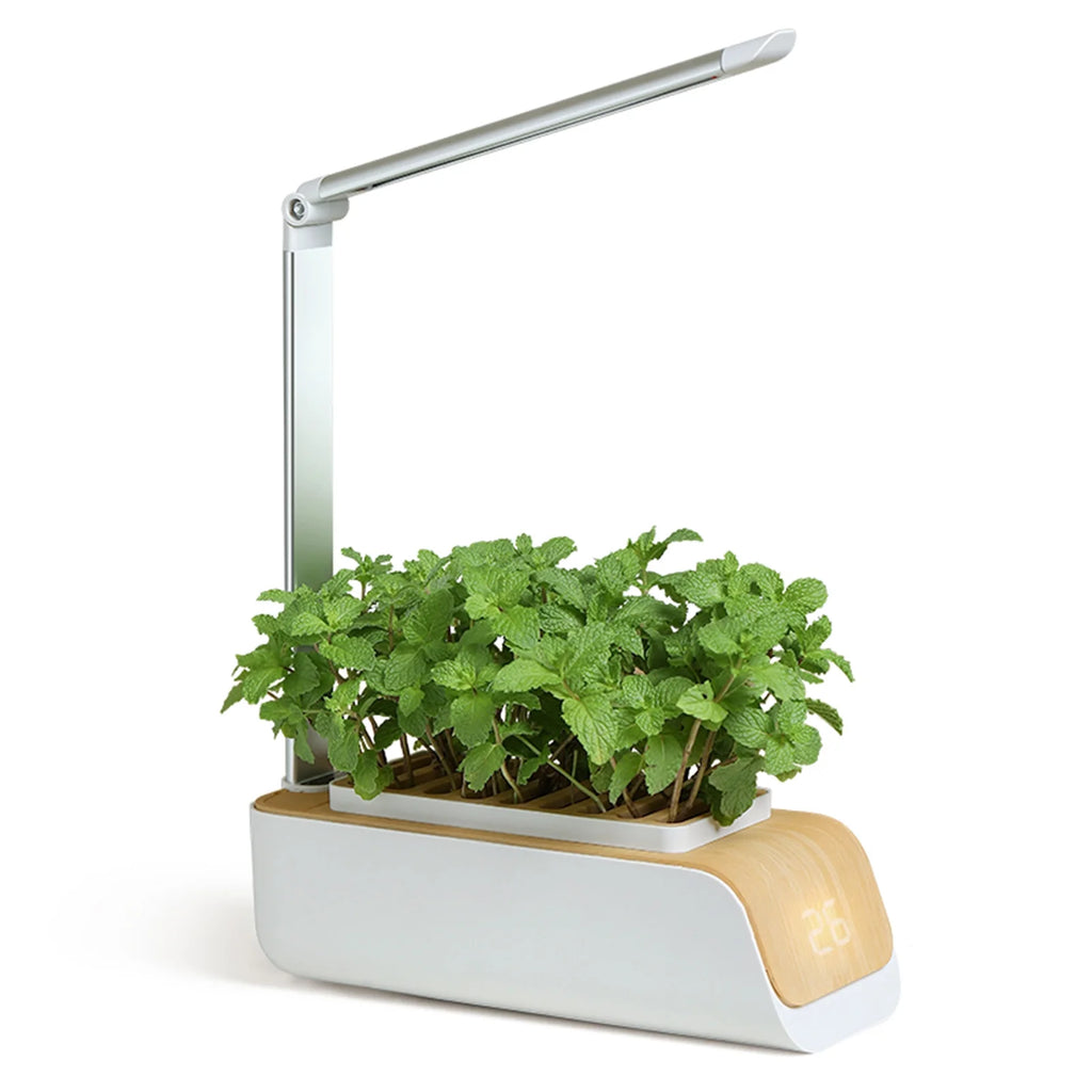 Indoor Herb Garden Kit with Grow Light S9424