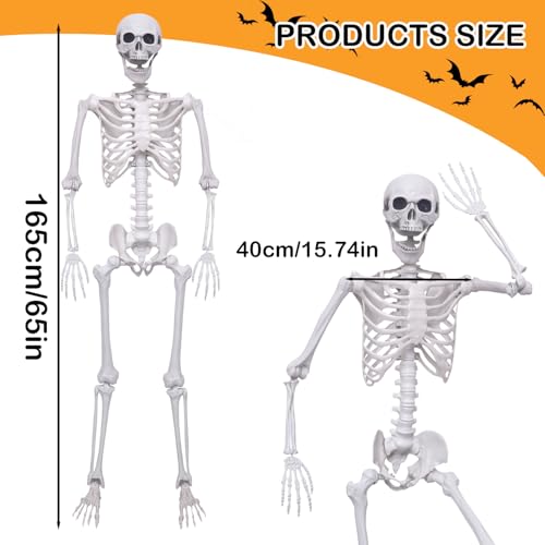 5.4Ft Posable Plastic Skeletons 2Pack H637