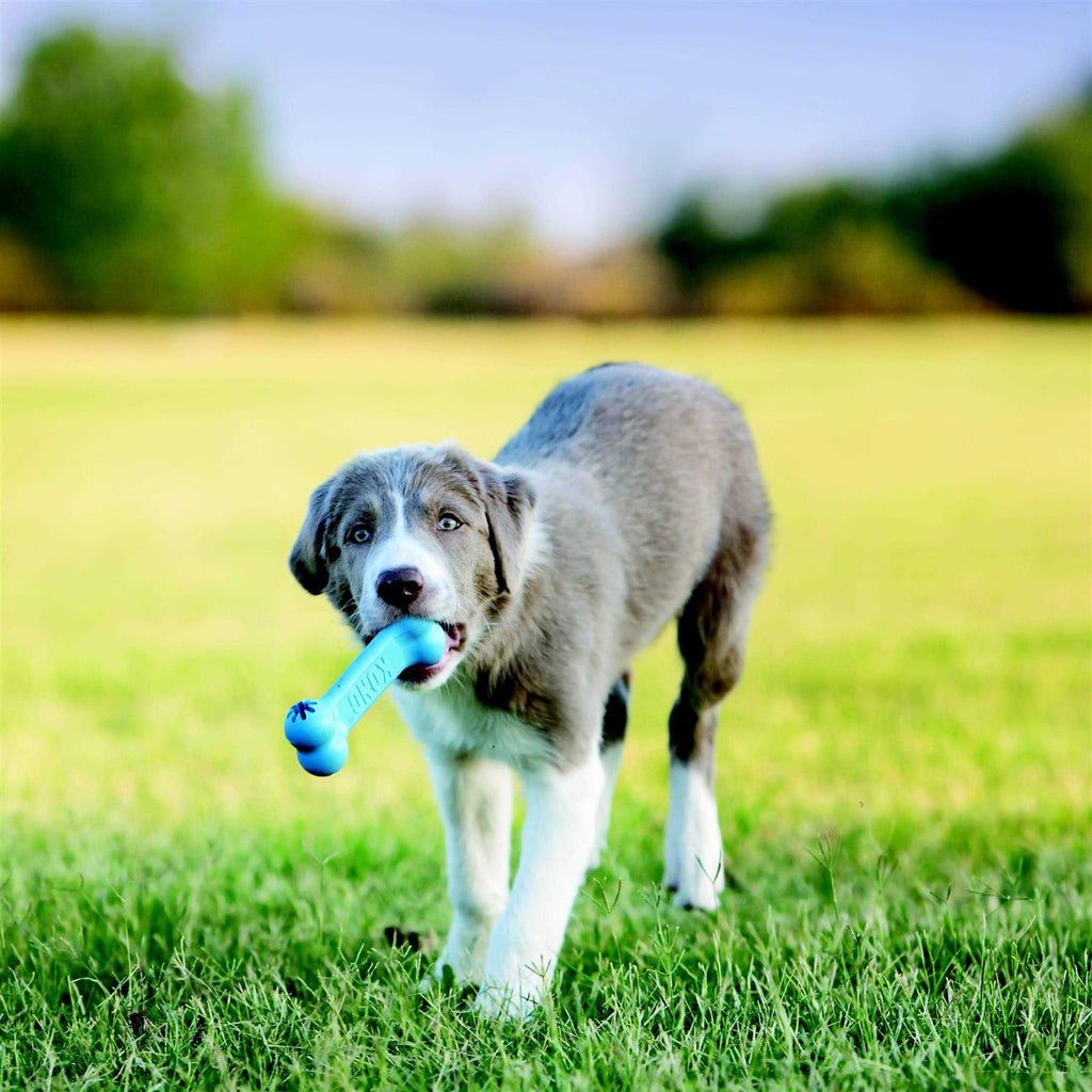 Puppy Toy D8449