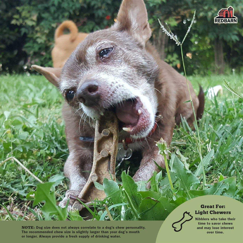 Dental Dog Chew S248812
