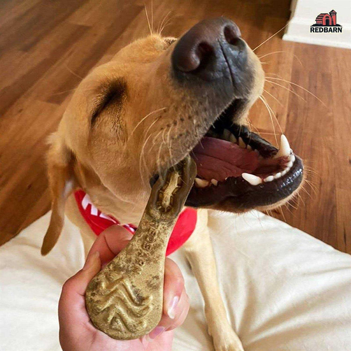 Dental Dog Chew S248812