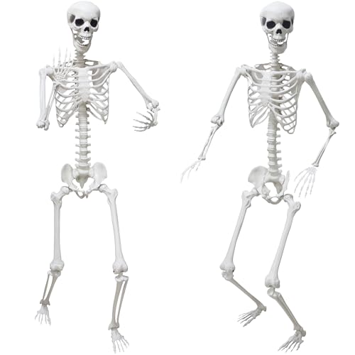 5.4Ft Posable Plastic Skeletons 2Pack H637