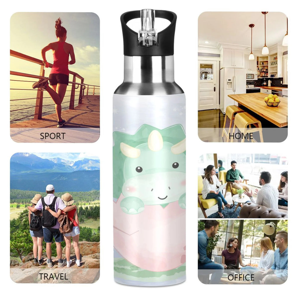Stainless Steel Insulated Water Bottle with Straw Lid L689497