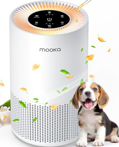 H13 True HEPA Air Purifier for Large Rooms up to 1200ft² F32350