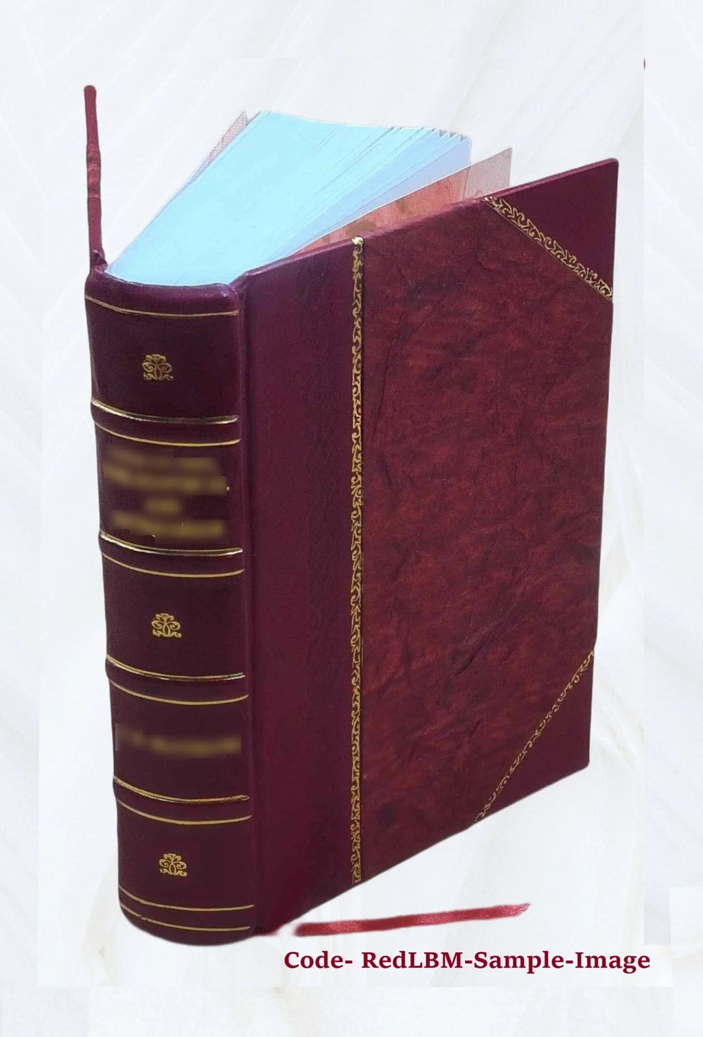 Ecclesiastical and other sketches of Southington, Conn. 1875 Leather Bound E670