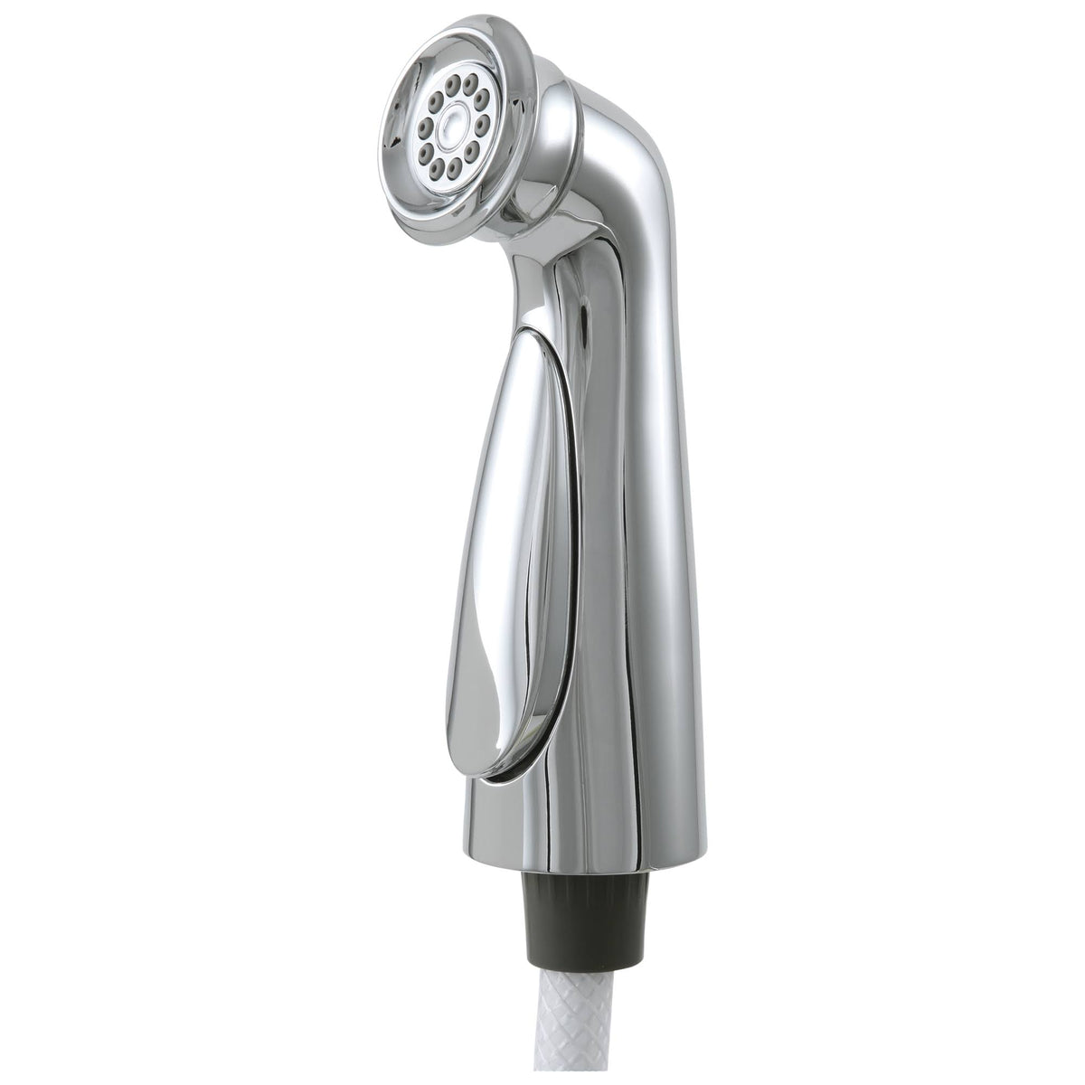 Polished Nickel Side Spray and Hose Assembly T42888