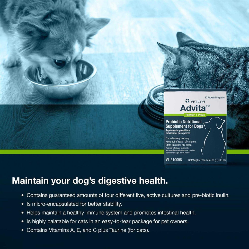 Probiotic Nutritional Supplement for Dogs U58238