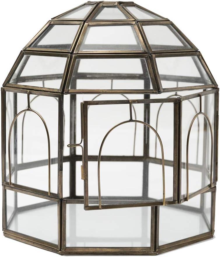 Large Glass Terrarium M240181