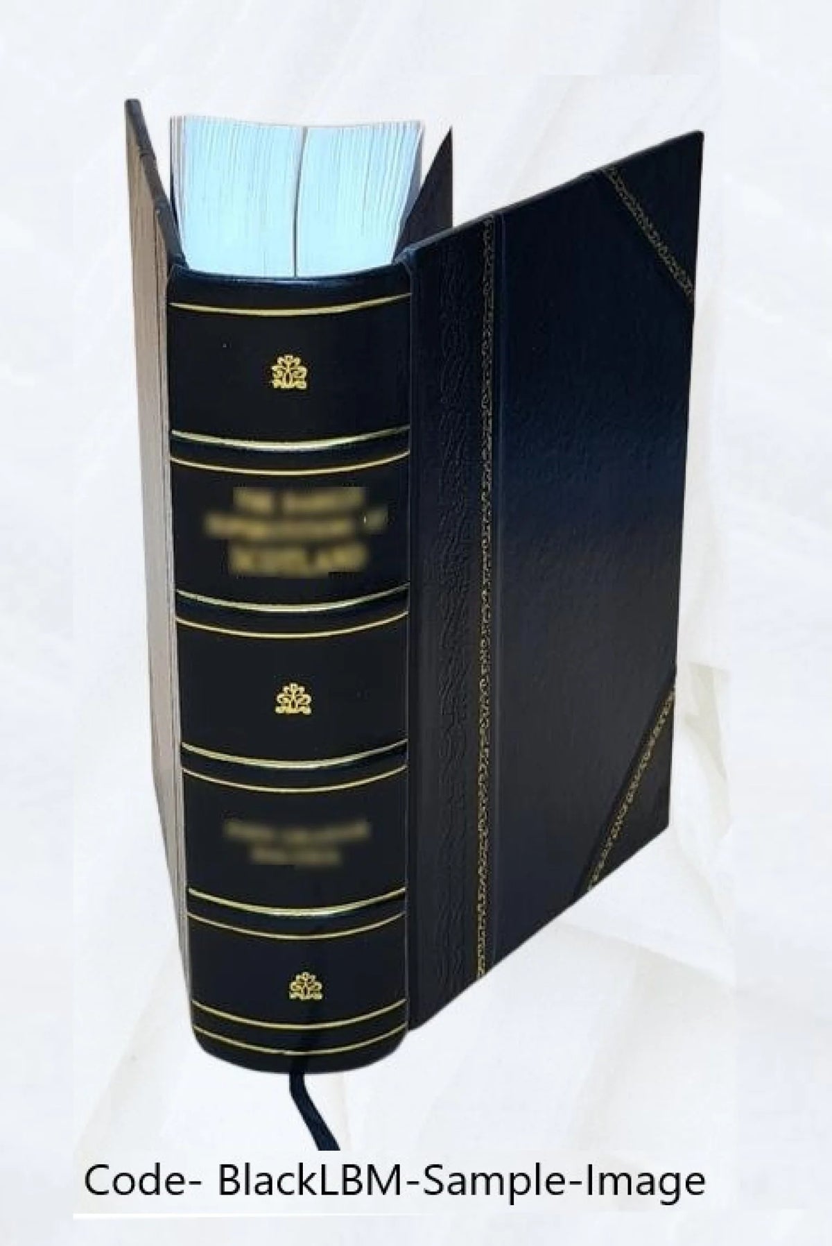 Ecclesiastical and other sketches of Southington, Conn. 1875 Leather Bound E670