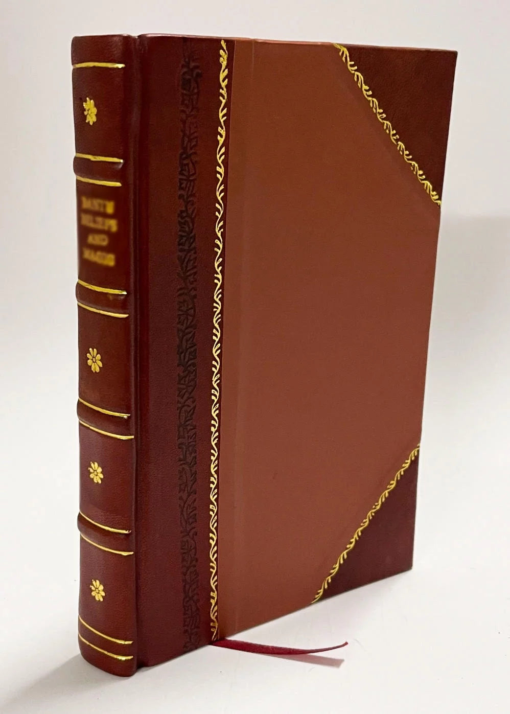 Leather Bound Book M567