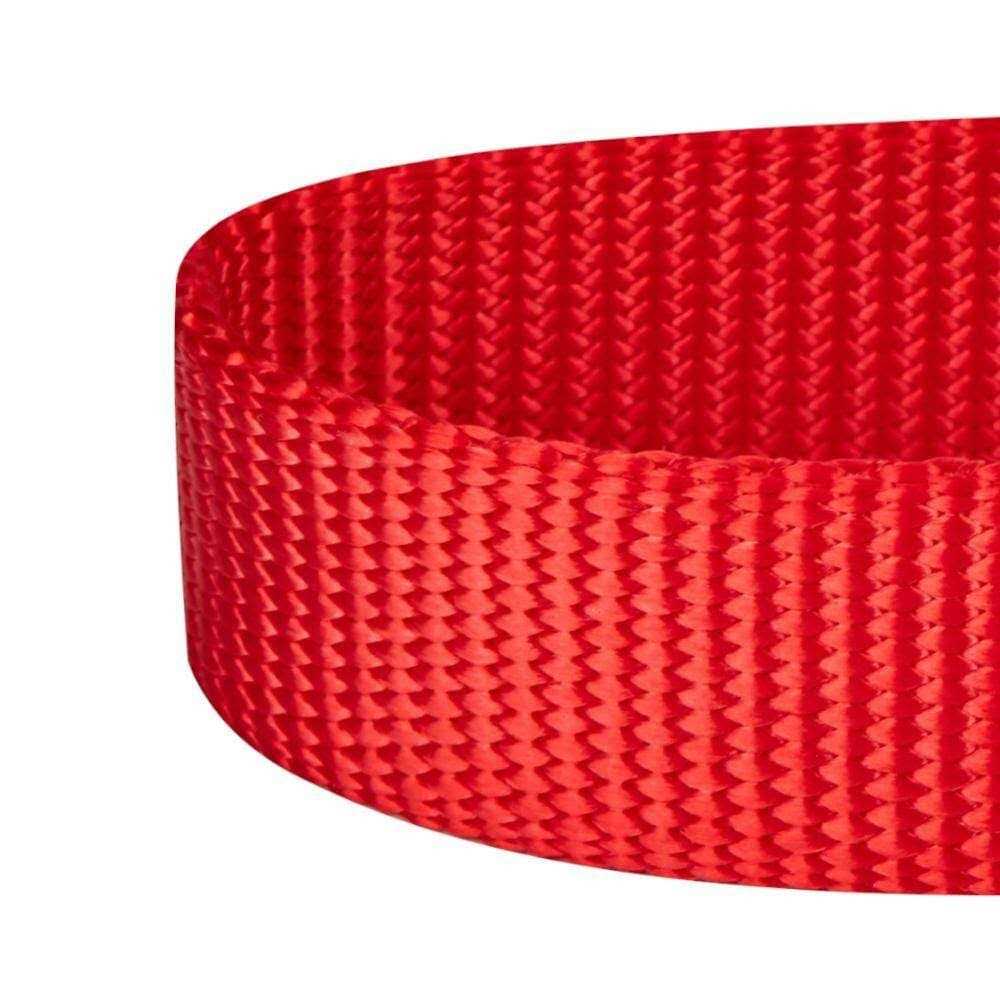 Classic Dog Collar I9413