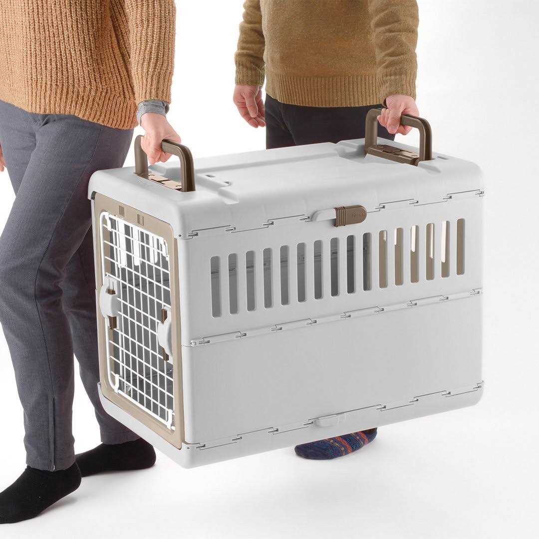Foldable Pet Carrier K235418