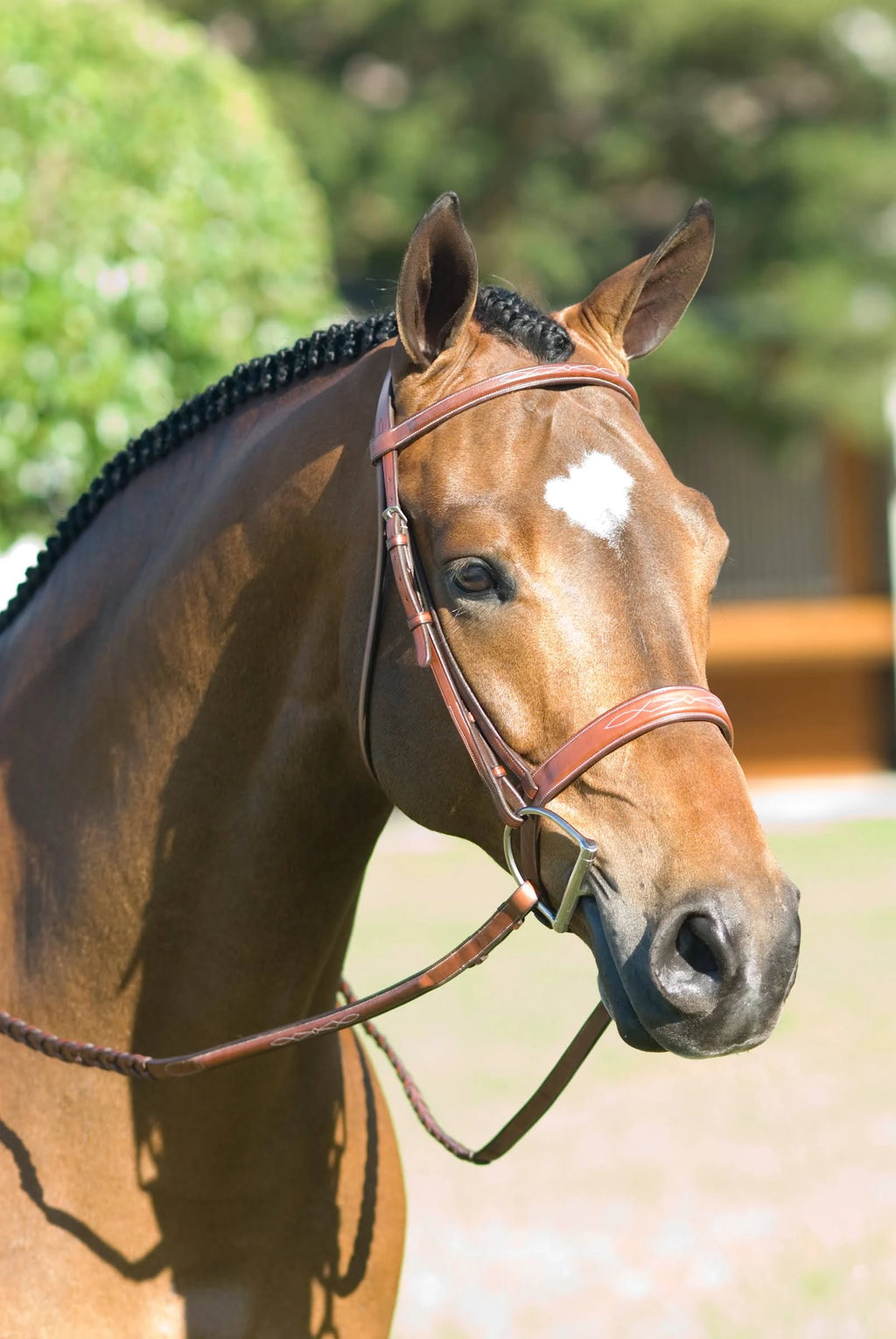 Fancy Wide Show Bridle with Raised Laced Reins J38149
