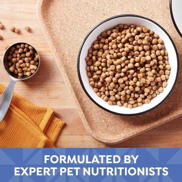 Small Bites Dry Dog Food B4568