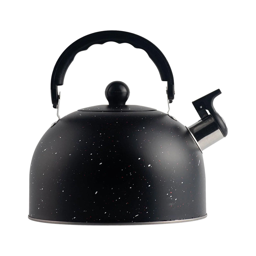 2.5L Stainless Steel Whistling Tea Kettle V5404
