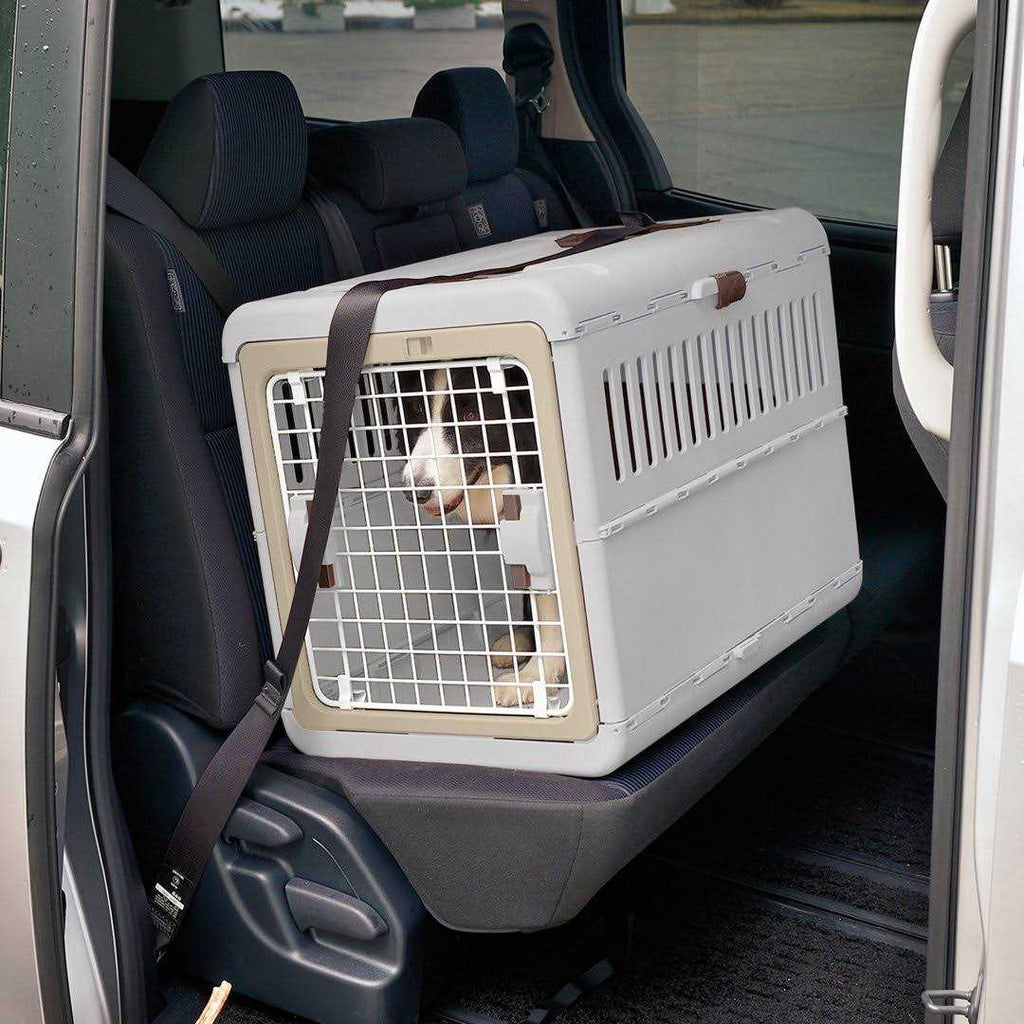 Foldable Pet Carrier K235418