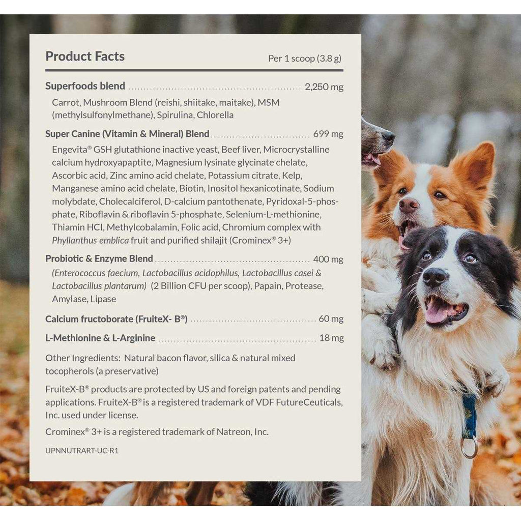 Multivitamin Powder Supplement for Dogs L273516