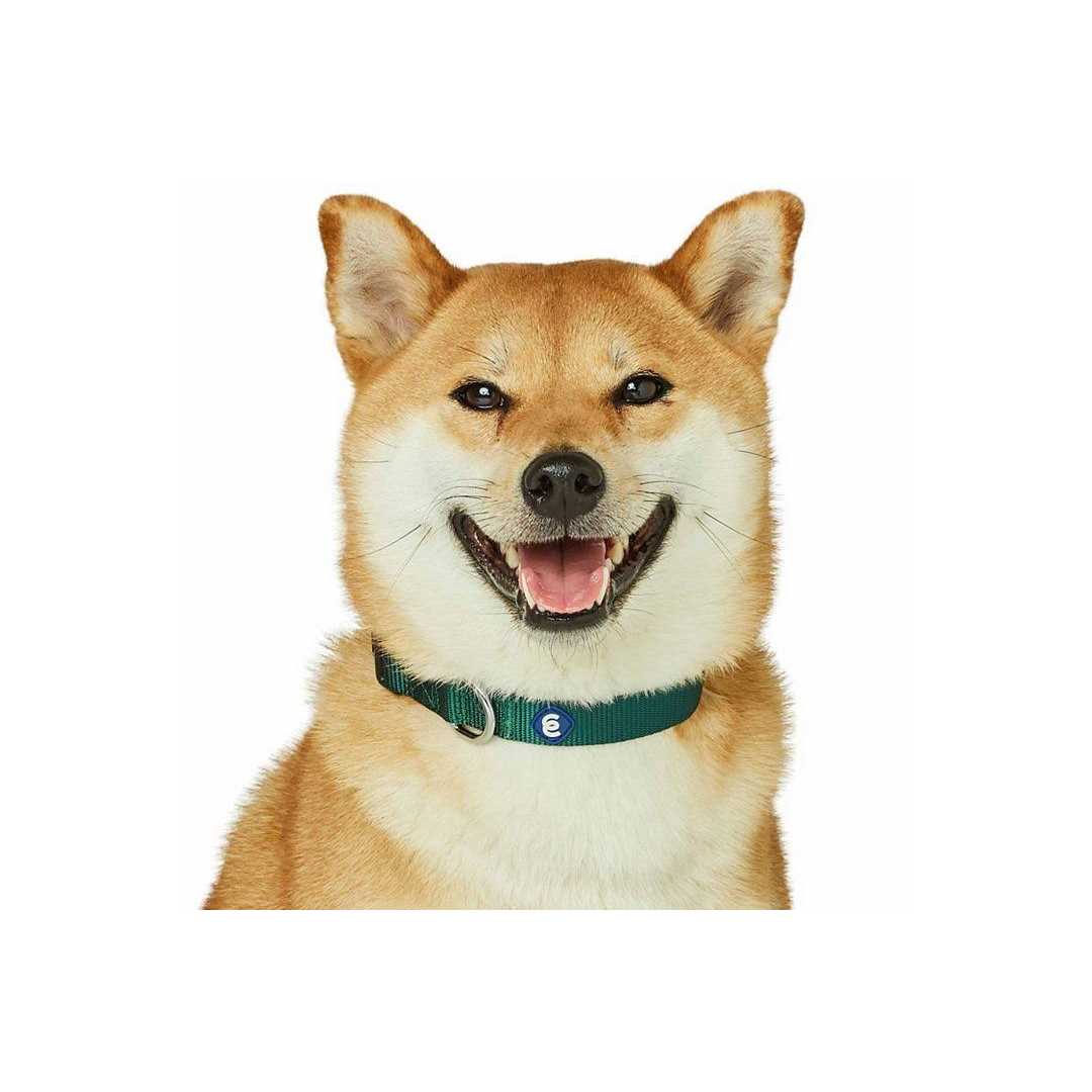 Classic Dog Collar I9413