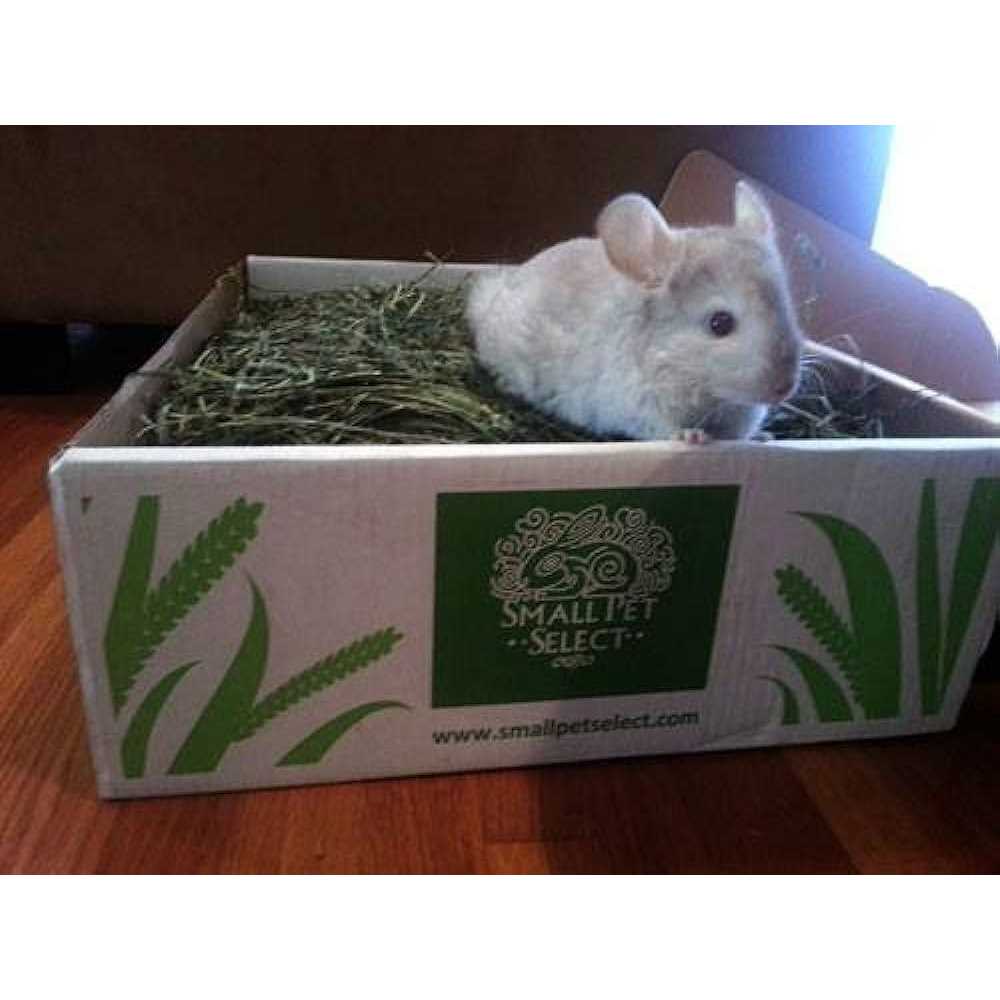 Timothy Hay Pet Food B881